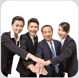 专业团队
